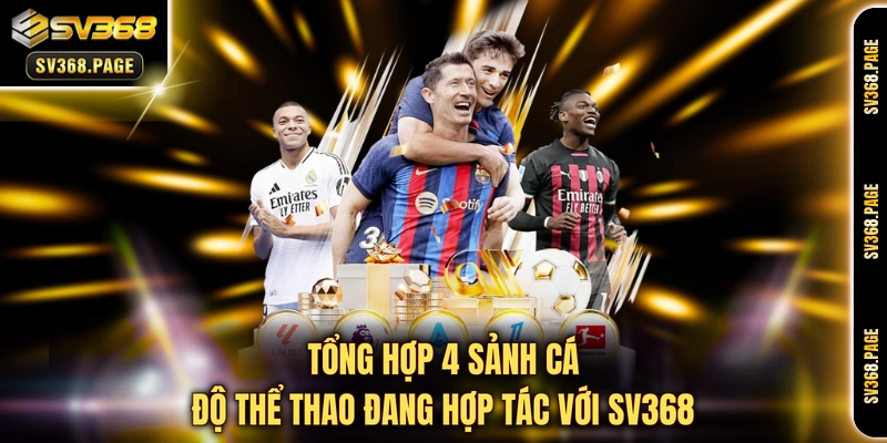 Tổng hợp 4 sảnh cá độ thể thao đang hợp tác với SV368